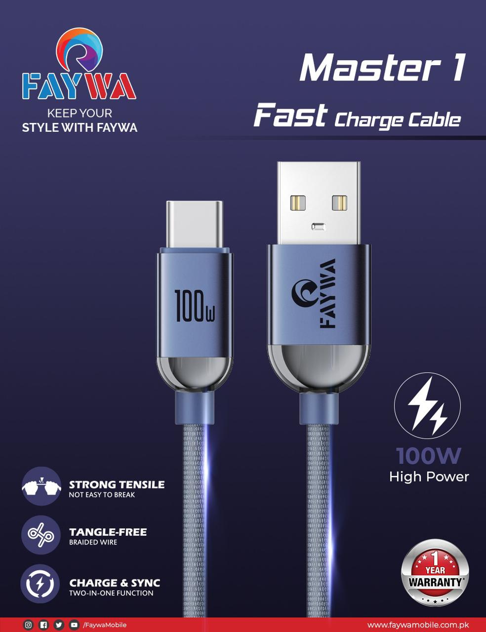 FAYWA MASTER 1 (Fast Charge USB Type C Cable - 100W) - My Store